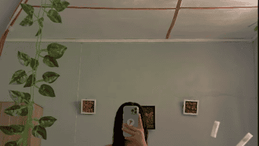 yin16 1267531