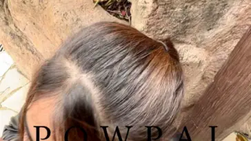 Powpai New 53