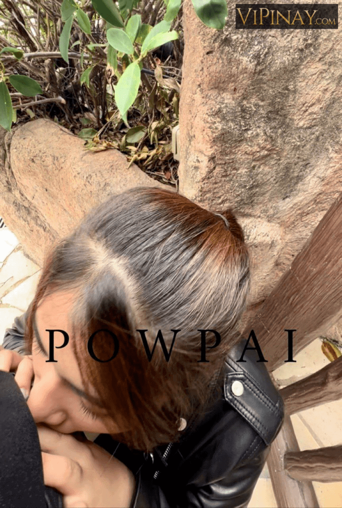 Powpai New 53